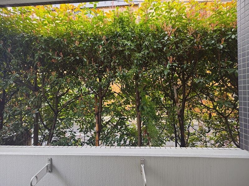 エスティメゾン武蔵小山Ⅱ 眺望