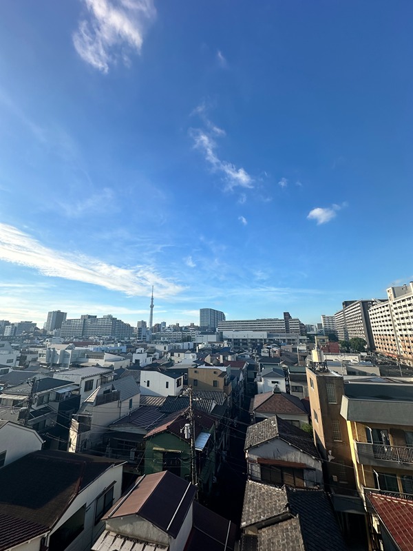 ラティエラ大島 眺望